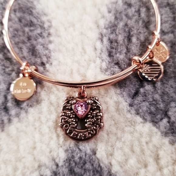 Alex & Ani Love and Luck Rafaelian Rose Gold Tone - Picture 3 of 5